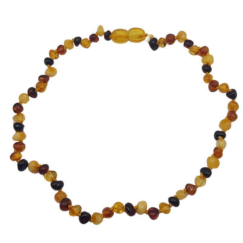 Collier Bébé Ambre Multicolore - Qualité AA - Litho Natura