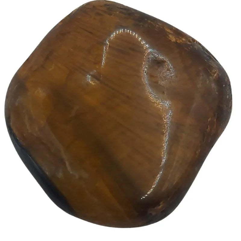 Pierres Naturelles Polies Oeil de Tigre - Qualité A - Litho Natura