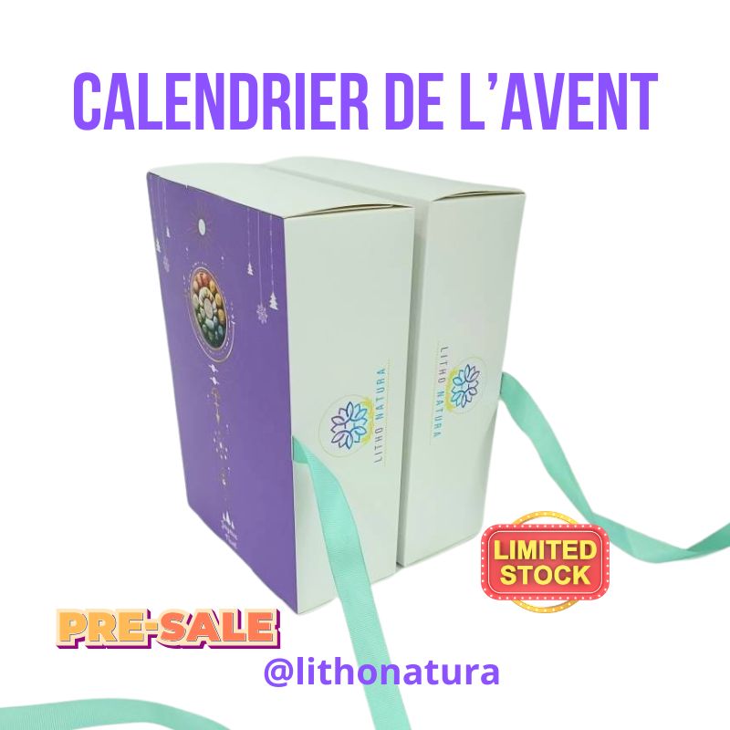 Calendrier de l'Avent de 24 Jours - Édition Spéciale